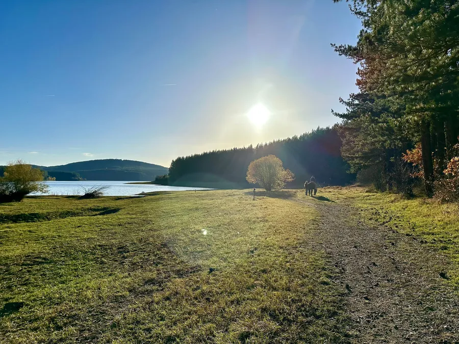 Vitosha Hill