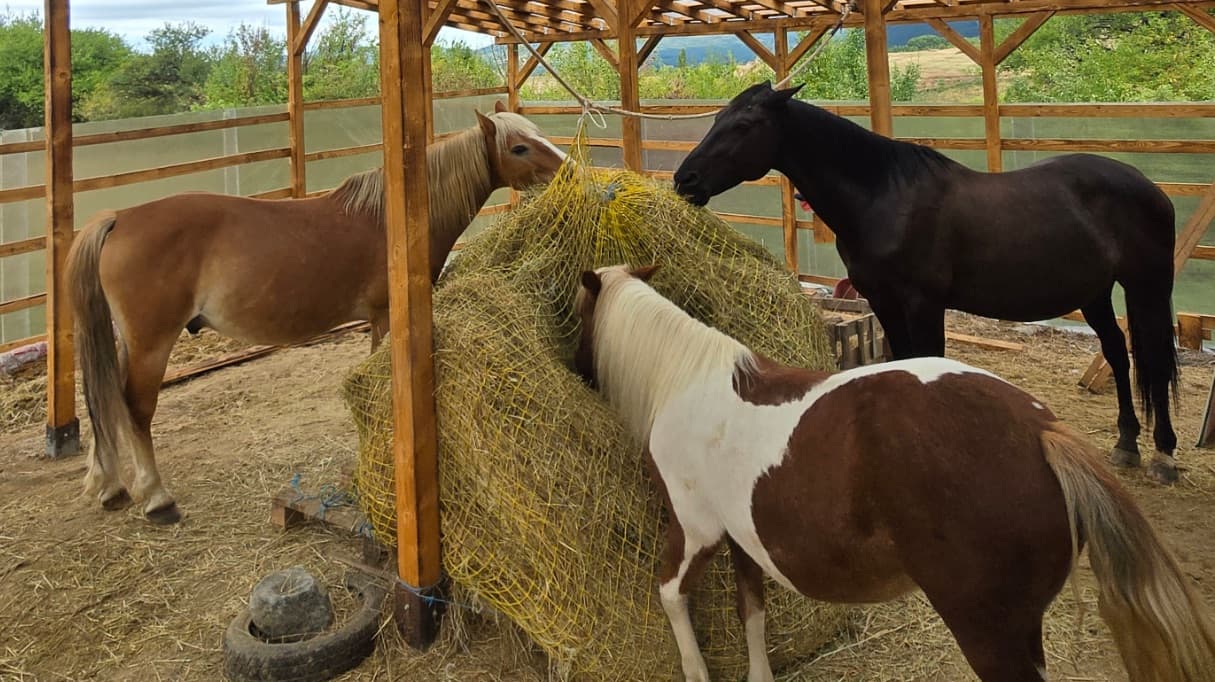 Пансион в Vitosha Hill